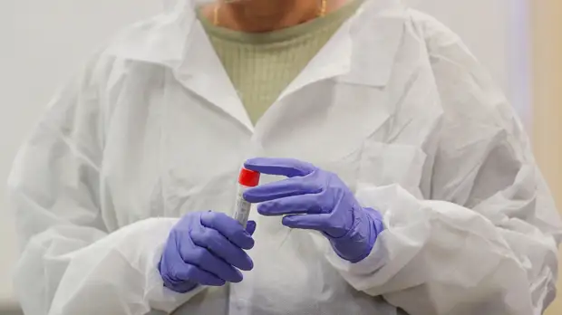 Власти Петербурга предупредили о возможности роста числа случаев COVID