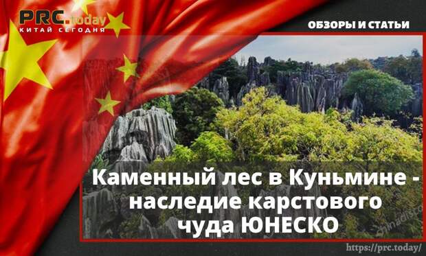 Каменный лес