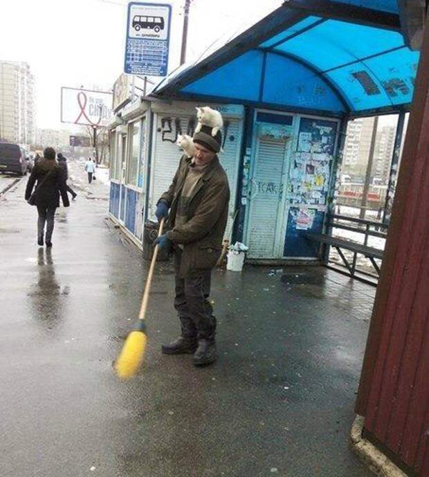 Настоящие приколы. Супер!