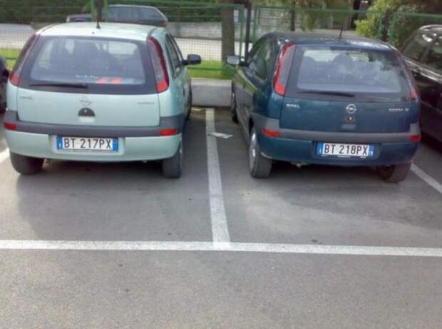 10 фото, на которых запечатлены редкие моменты