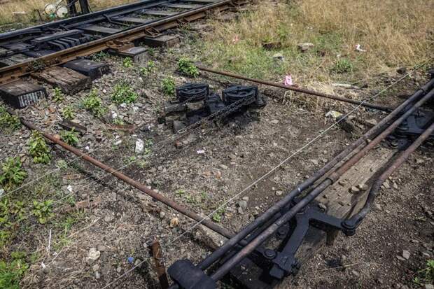 Что можно успеть за первый день в Шри Ланке путешествия, факты, фото
