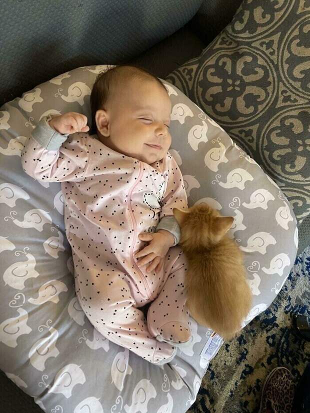 Друзья с пелёнок Друзья с пелёнок