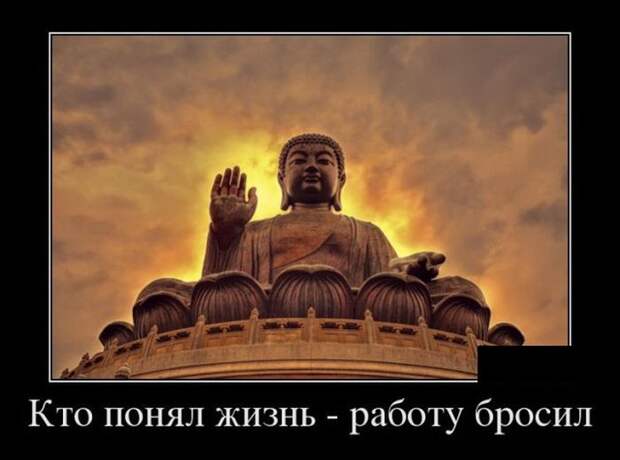 Демотиваторы (30 фото)