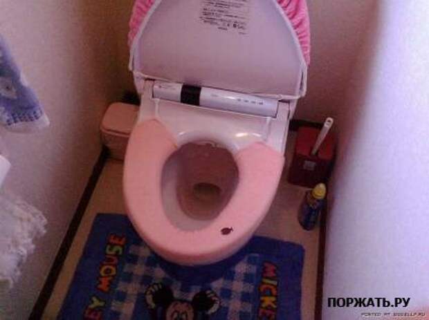 Фотоприколы смешные статусы в картинках.