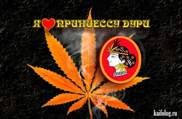 Веселые картинки (60 картинок)
