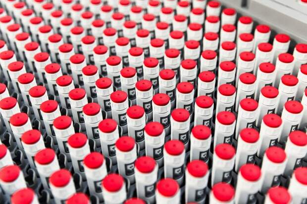 Карагандинский фармацевтический комплекс будет производить аналог датского препарата «Оземпик»