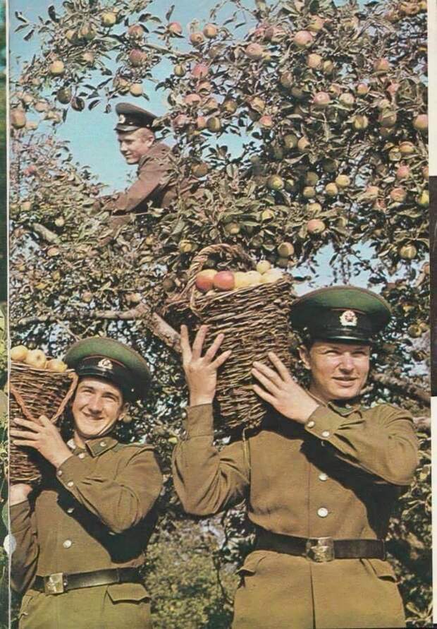 Погранвойска СССР.Ретро фото СССР, история, погранслужба, факты