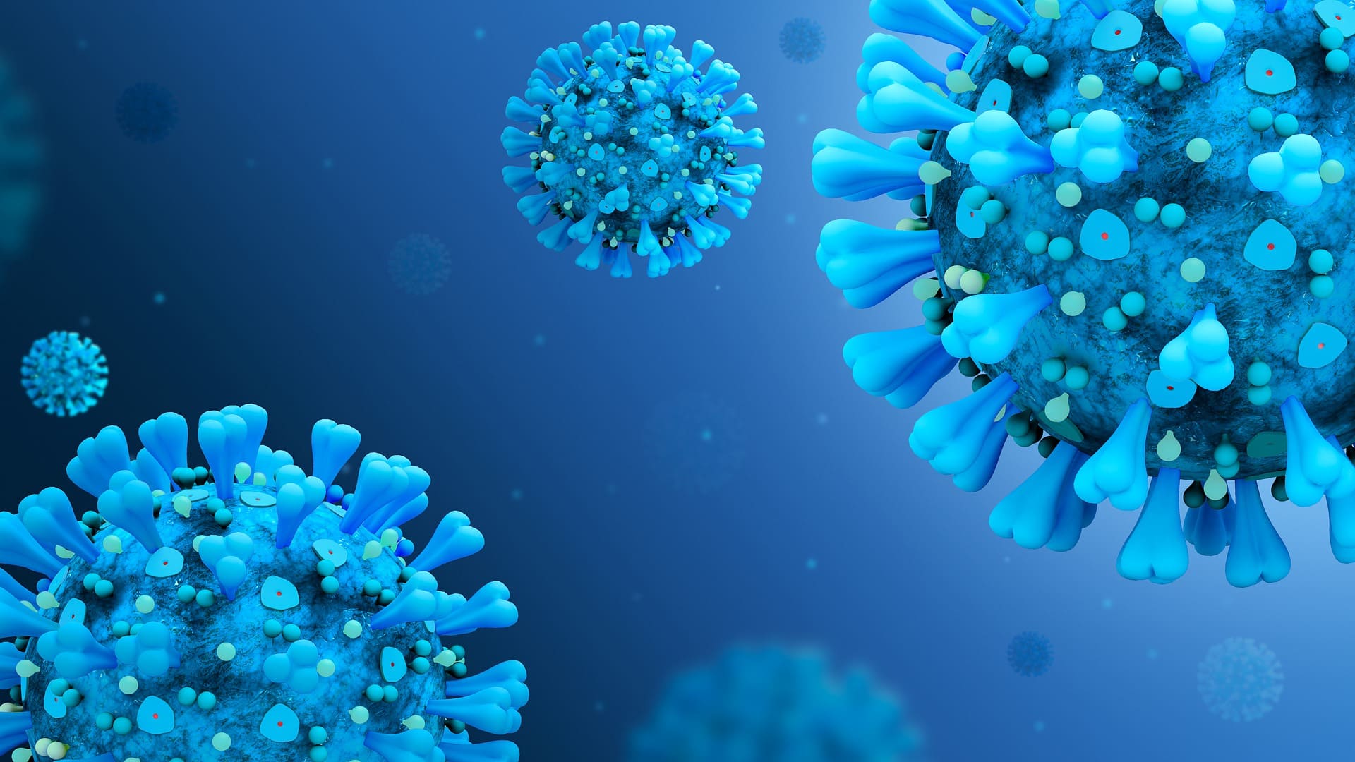 coronavirus disease covid