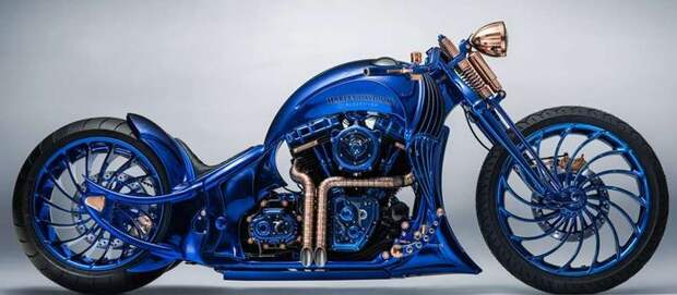 Самый дорогой мотоцикл в мире от Harley-Davidson и Carl F. Bucherer Самый дорогой мотоцикл в мире от Harley-Davidson и Carl F. Bucherer