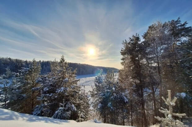 Синоптик Леус: минувшая ночь в Москве стала самой теплой с конца января