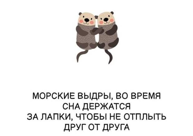 Интересные короткие факты на все случаи жизни