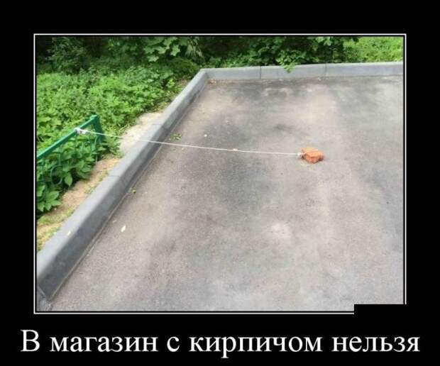 Демотиваторы (30 фото)