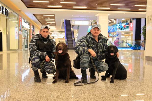 За безопасностью в МФК «Щелковский» помогают следить четвероногие охранники