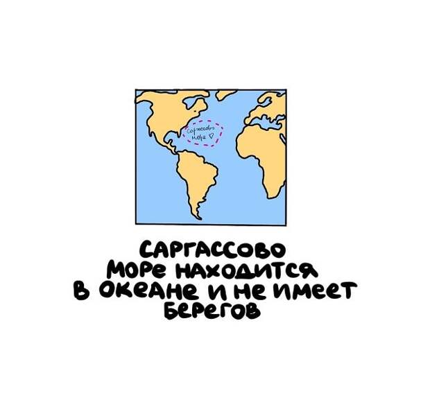 Интересные, но короткие факты на все случаи жизни