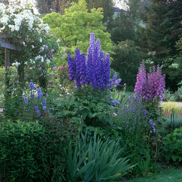 wonderful-nooks-in-garden14 (550x550, 362Kb)