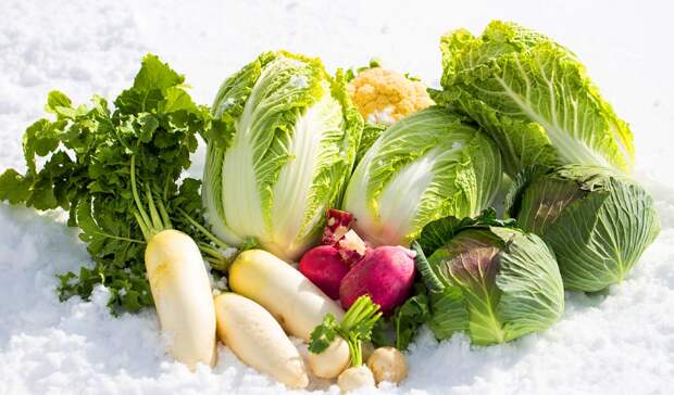 Зимние овощи или как сохранить фигуру