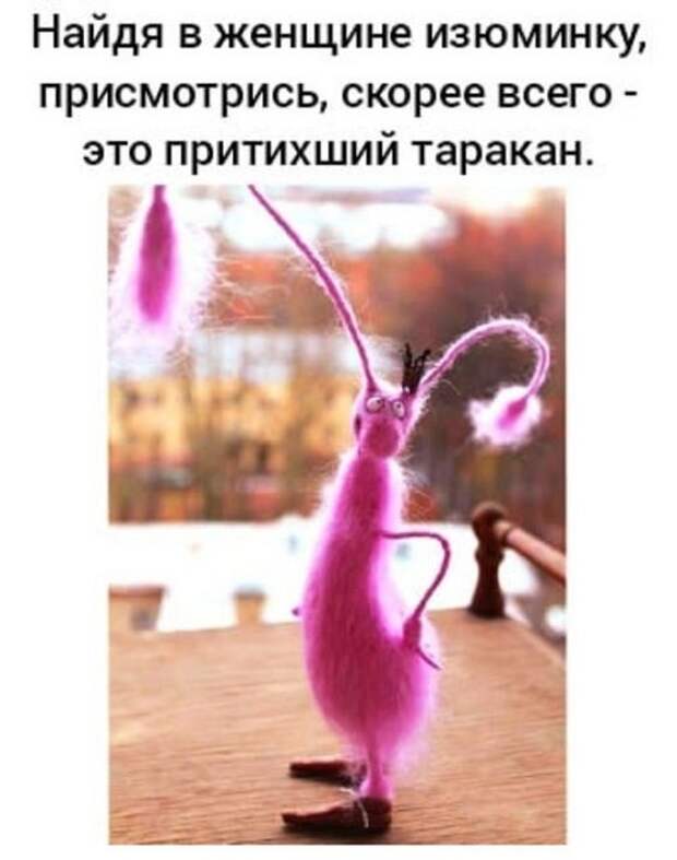 Свежие очень смешные картинки