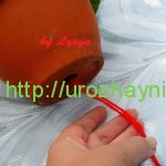 Полив комнатных растений во время отпуска