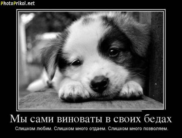 Демотиваторы со смыслом (46 демотиваторов) Демотиваторы со смыслом (46 демотиваторов)