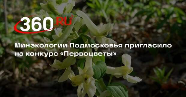 Минэкологии Подмосковья пригласило на конкурс «Первоцветы»