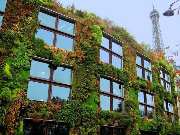 Озеленение строений в Париже (7 фото)