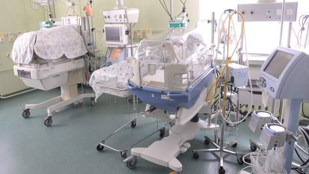 Депутат Бессараб оценила вероятность появления в России сертификата для новорожденных