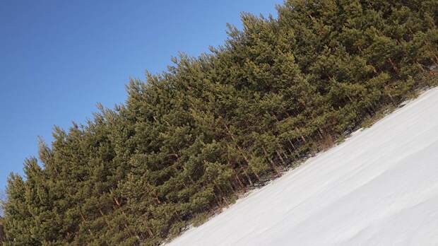 «Небольшой вертолет»: появилась новая версия пропажи семьи Усольцевых