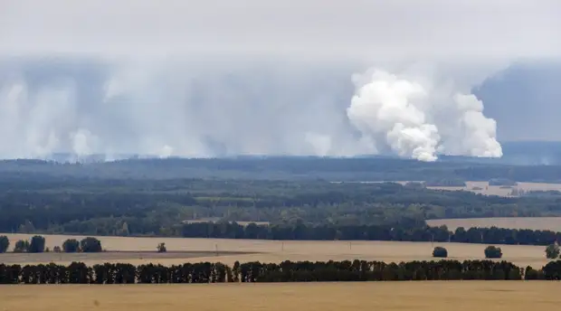 «Дезорганизация ВСУ»: почему Киев обратился за помощью к НАТО для охраны украинских военных арсеналов