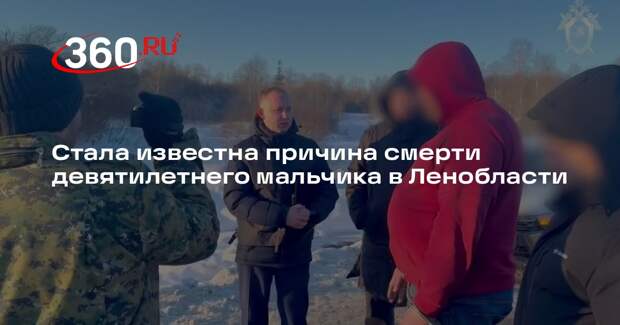 Причиной смерти девятилетнего мальчика в Ленобласти назвали удар по голове