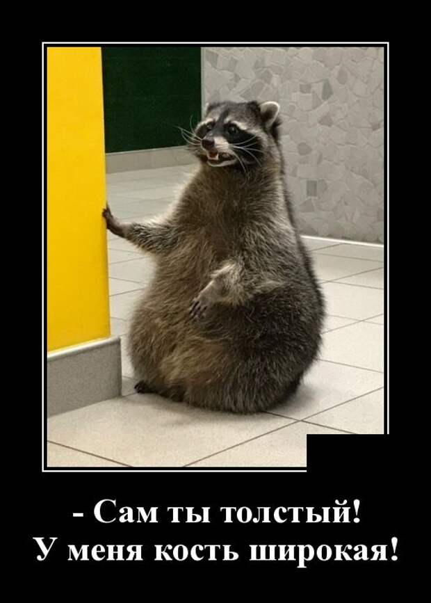 Демотиваторы (30 фото)
