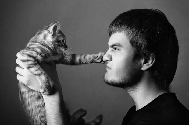 15 котиков и их хозяев-мужчин, которые испытывают друг к другу по-настоящему нежные чувства