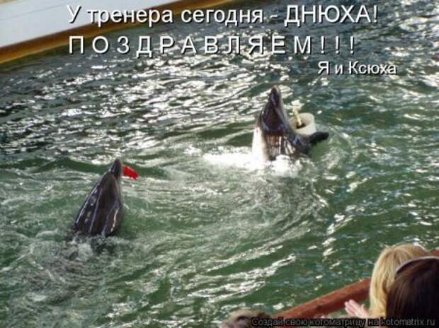 Подумала о своей жизни... сразу мухи налетели.