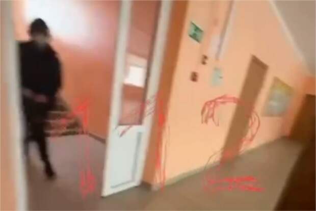 Нападение девятиклассника на российскую школу попало на видео