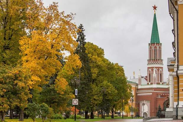 Осенний Кремль Кремль, осень, фоторепортаж