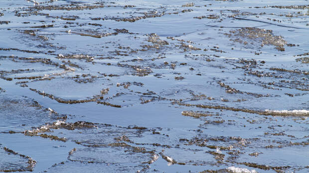 На реках Приморья ожидается ранний ледоход