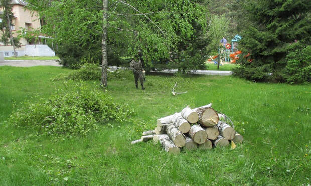 Под Смоленском в детском санатории «Мать и дитя» прошла экологическая акция