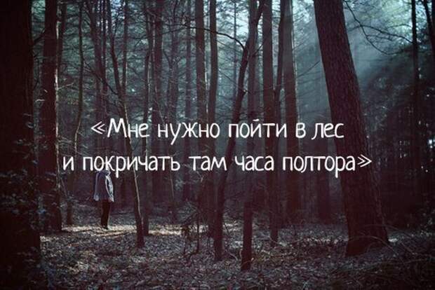 Веселые картинки с надписями для поднятия настроения (11 фото) Веселые картинки с надписями для поднятия настроения (11 фото)