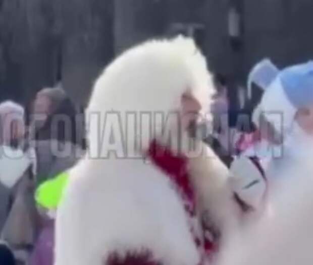 Скрин видео