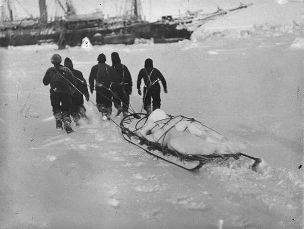 Команда тащит на санях лёд для питьевой воды.