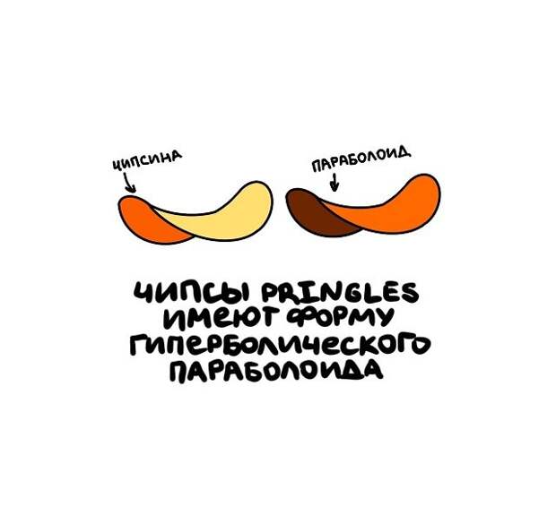 Интересные, но короткие факты на все случаи жизни