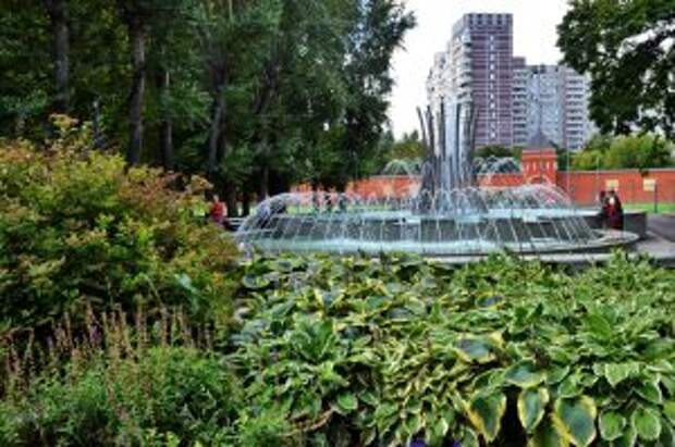 Азы химии покажут детям на мастер-классе в Таганском парке. Фото: Анна Быкова