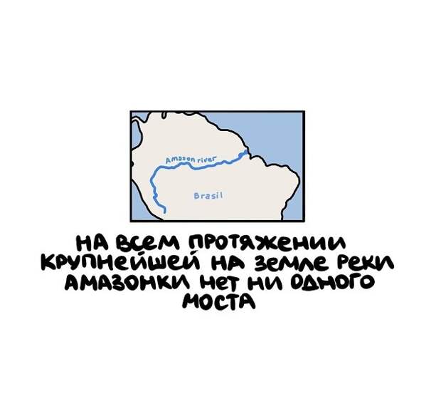 Интересные, но короткие факты на все случаи жизни