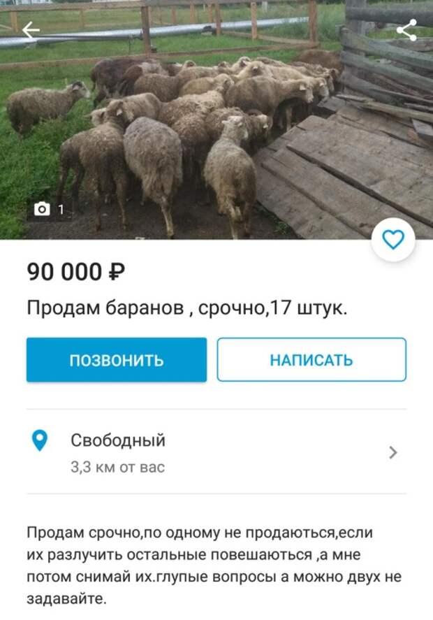 Подборка картинок. Дневной выпуск (20 фото)