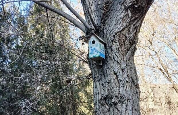 Завтра в Астраханской области ночь станет теплее и даже выйдет на плюс, а день – прохладнее