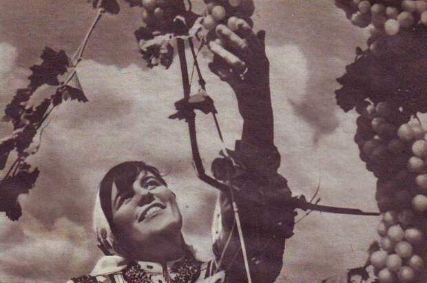 sovietwoman15 sovietwoman15 Советская женщина в фотографиях