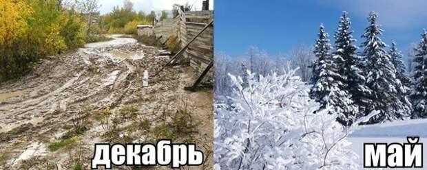 Новогодние приколы