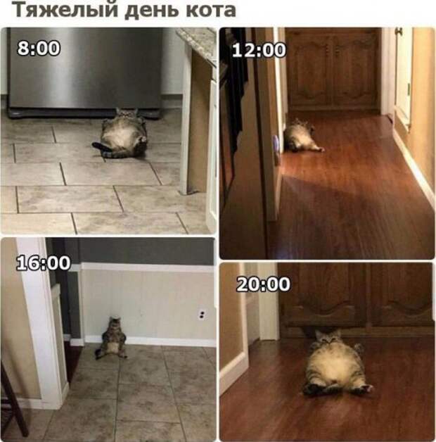 Прикольные фотомемы на Бугаге (25 шт)
