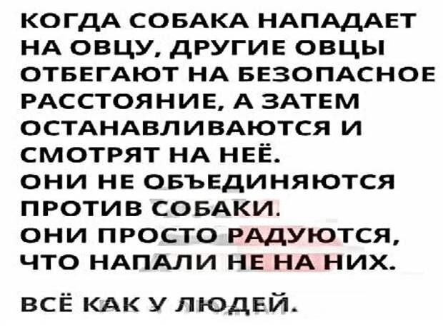 Анекдоты, истории и картинки с надписями