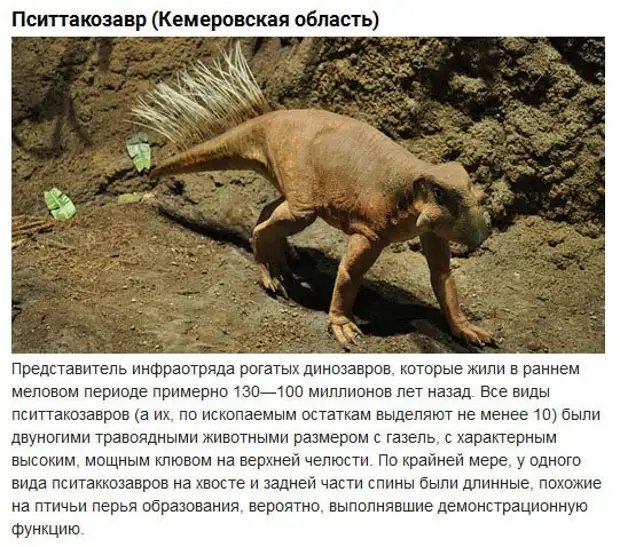 На какой территории жили динозавры. Динозавр который жил на территории России. Динозавры обитавшие на территории современной России. Динозавры которые жили на Тери Тори Росси. Динозавры которые жили на территории России.
