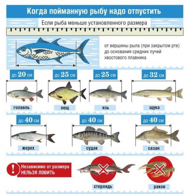 Где ловить рыбу в запрет